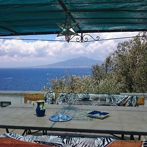 Villa L'Ulivina